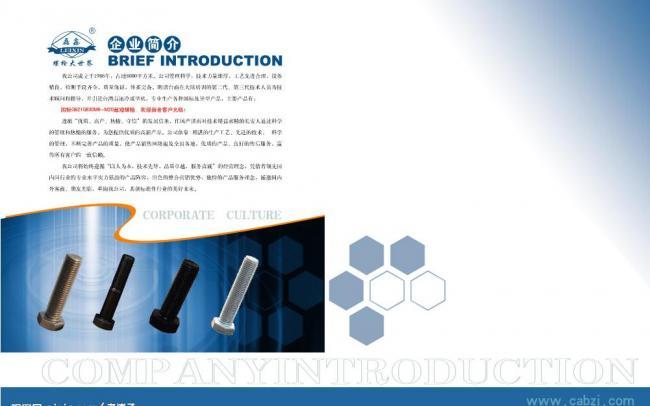 企業(yè)畫冊封2與P1 視覺序章的藝術(shù)